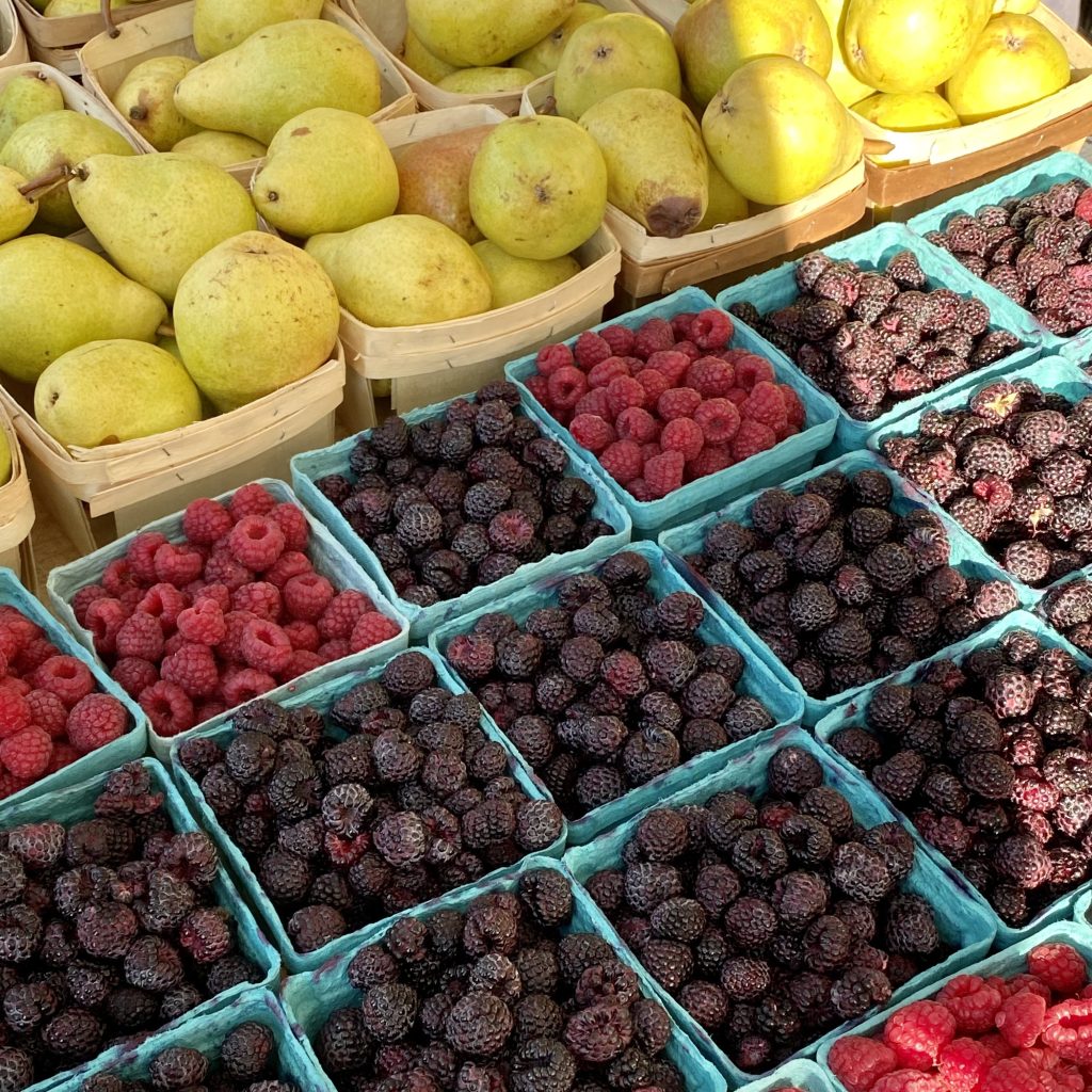 Pruning: A Reflection on 2023