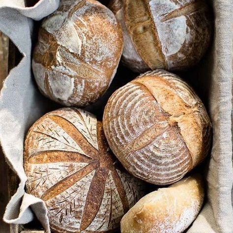 Manna: A Reflection on 2024